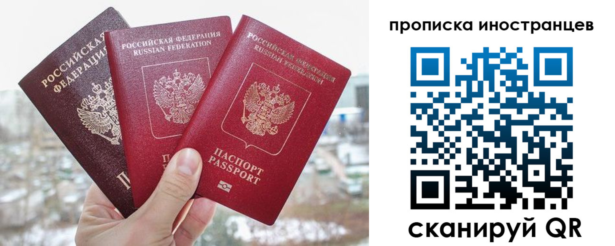 временная регистрация поиск в Бородино